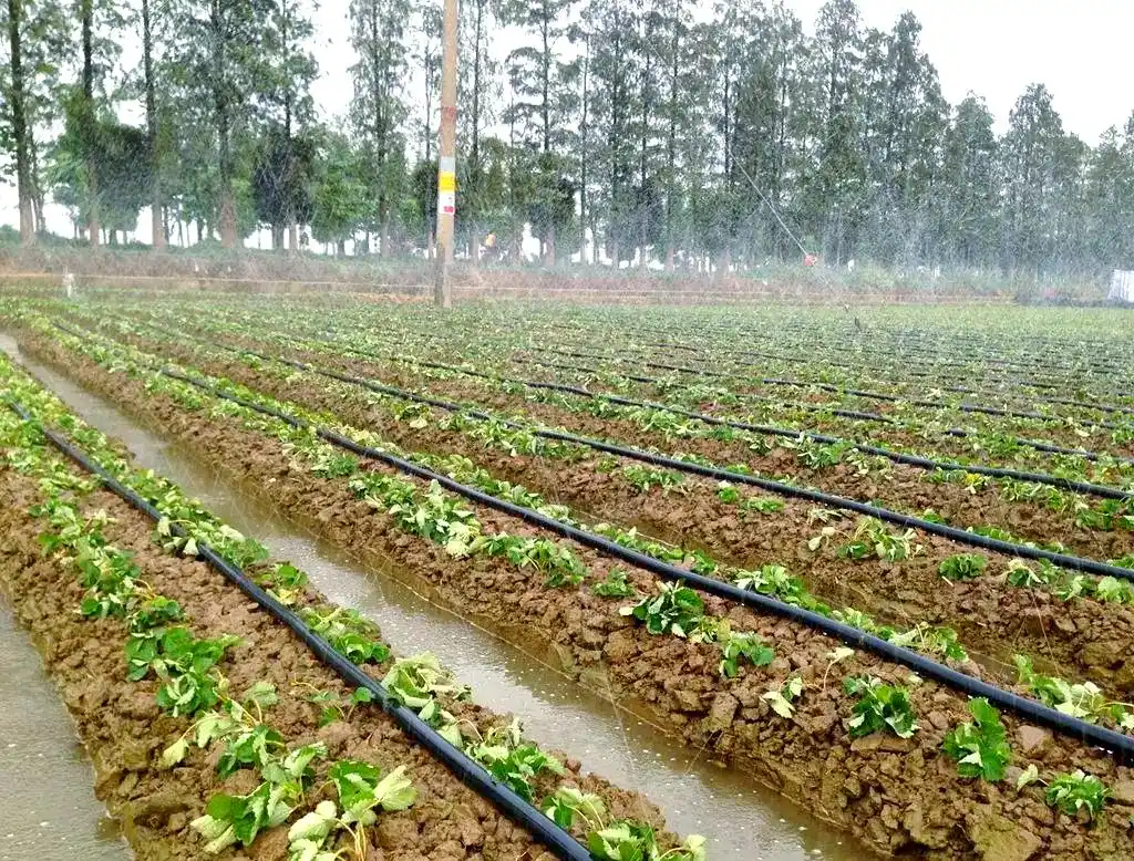 ¿Tierras sedientas? ¿Poco rendimiento? ¿Costes elevados? Este 