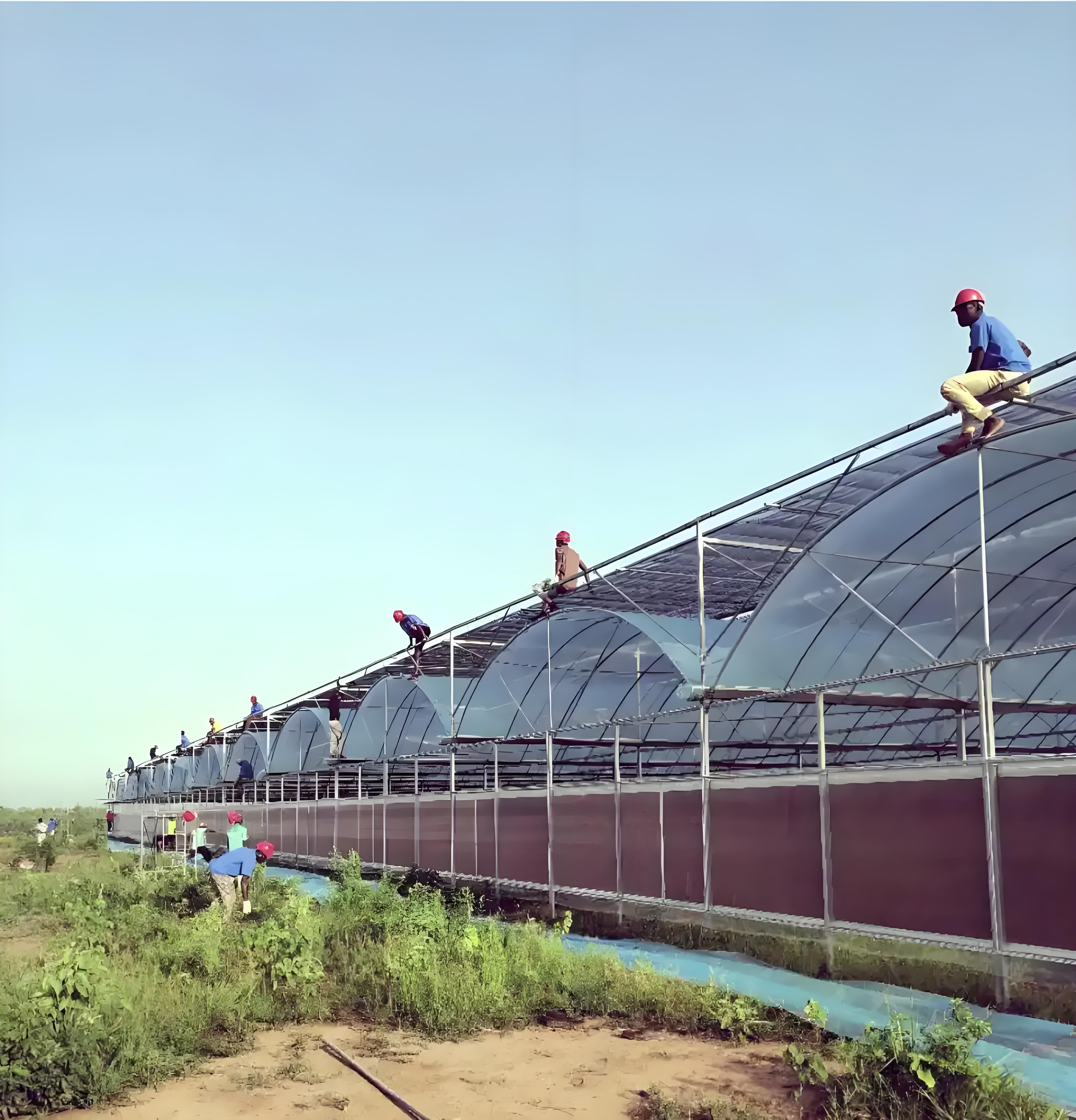 Riego por goteo: La solución estratégica de Ghana contra la sequía y el encarecimiento de los alimentos Riego por goteo: La solución estratégica de Ghana contra la sequía y el encarecimiento de los alimentos