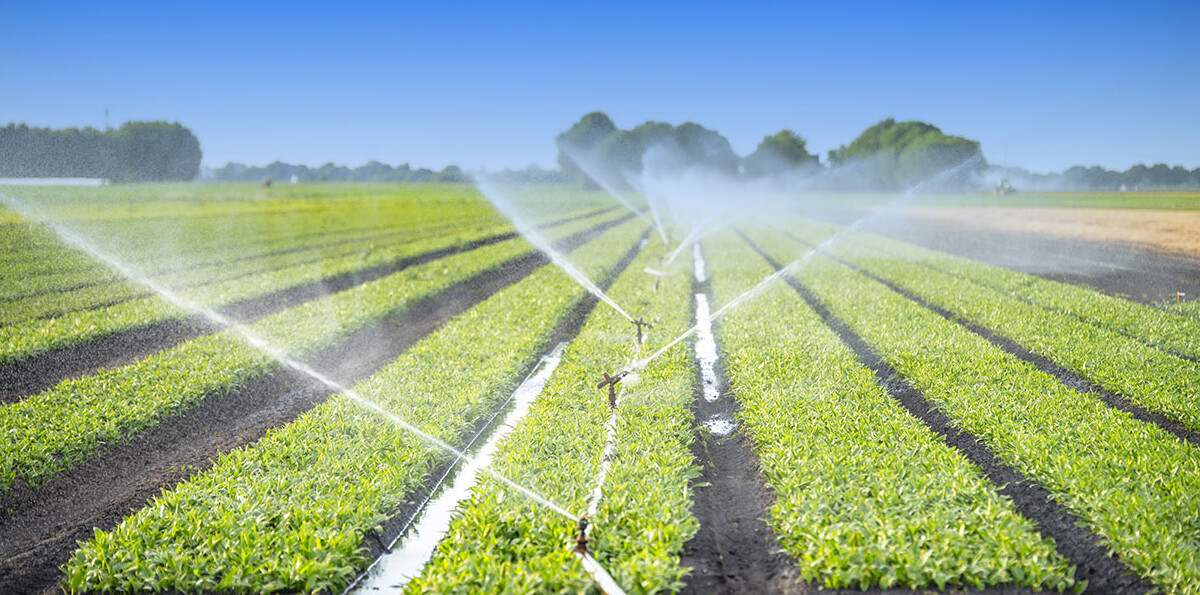 Quais são as ferramentas de irrigação?