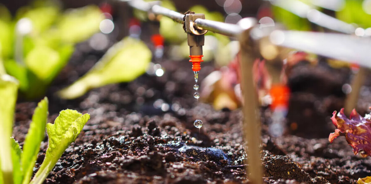 Quais são os tipos de irrigação? Quais são os tipos de irrigação?