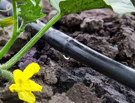 Tubo de gotejamento para irrigação agrícola