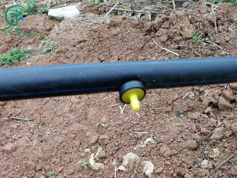 Irrigação Yongquan