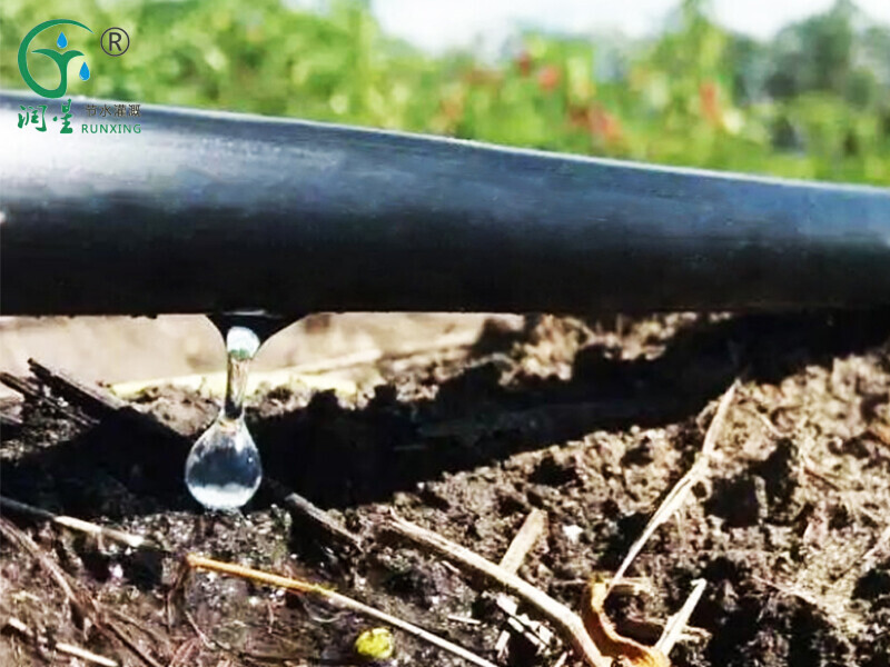 Tubo de irrigação por gotejamento de alta qualidade