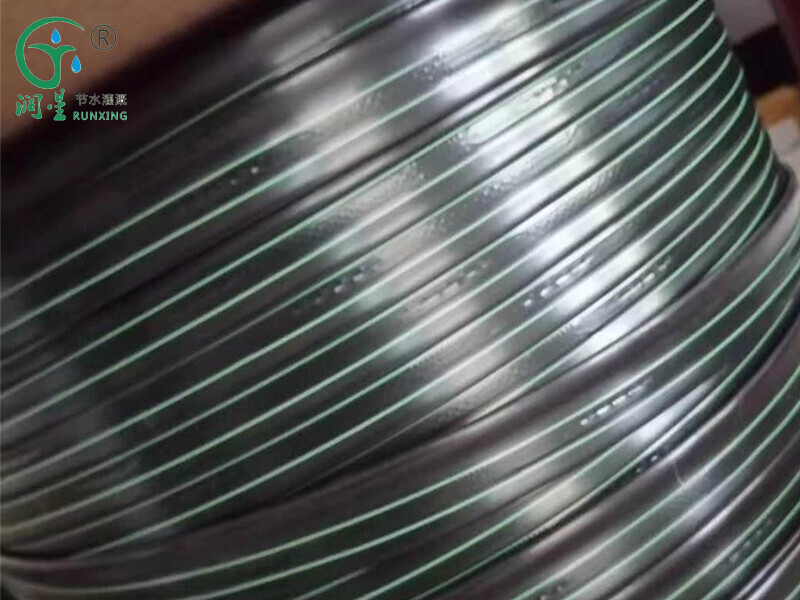 Fita gotejadora de tira contínua em forma de T