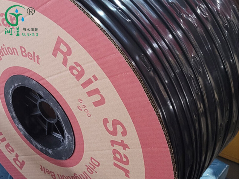 Fita de irrigação por gotejamento Patch