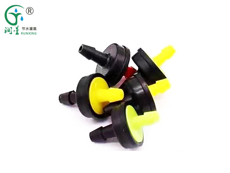 Irrigação Yongquan