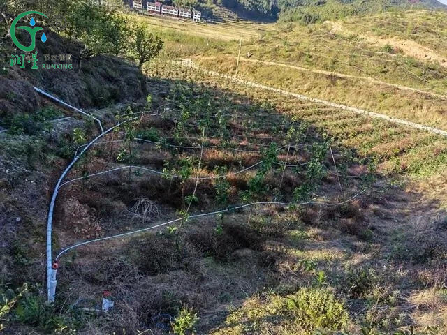 滴灌素材4.jpg 滴灌素材4.jpg