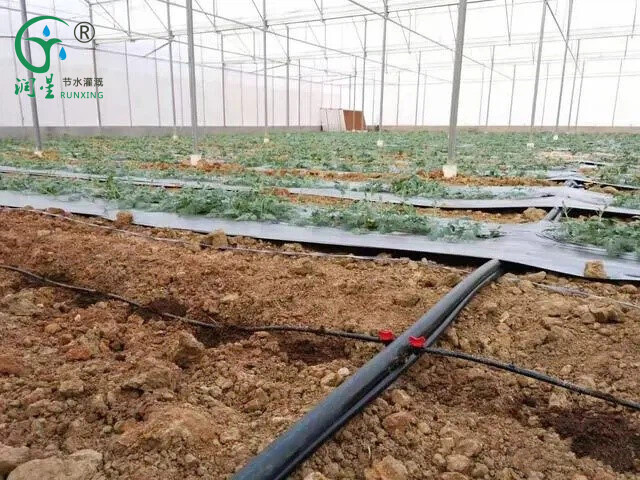 滴灌素材6.jpg 滴灌素材6.jpg