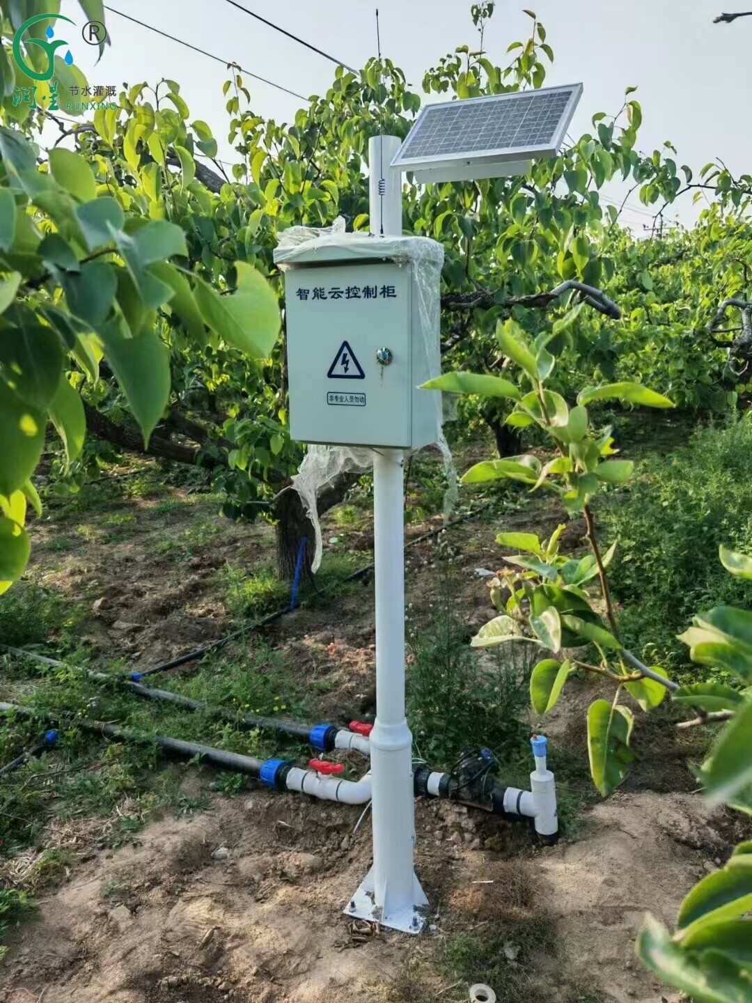 Lâmpada inseticida IoT