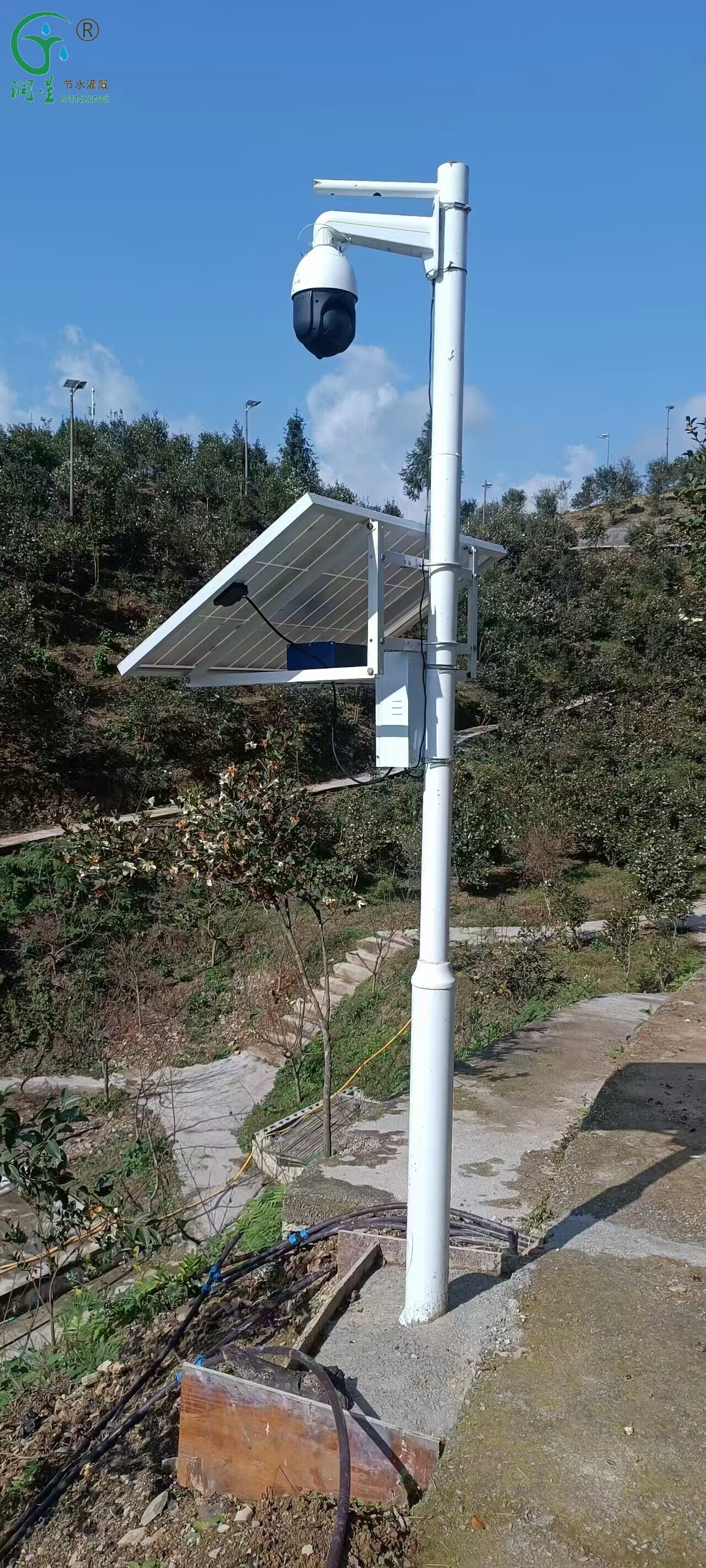 Lâmpada inseticida IoT