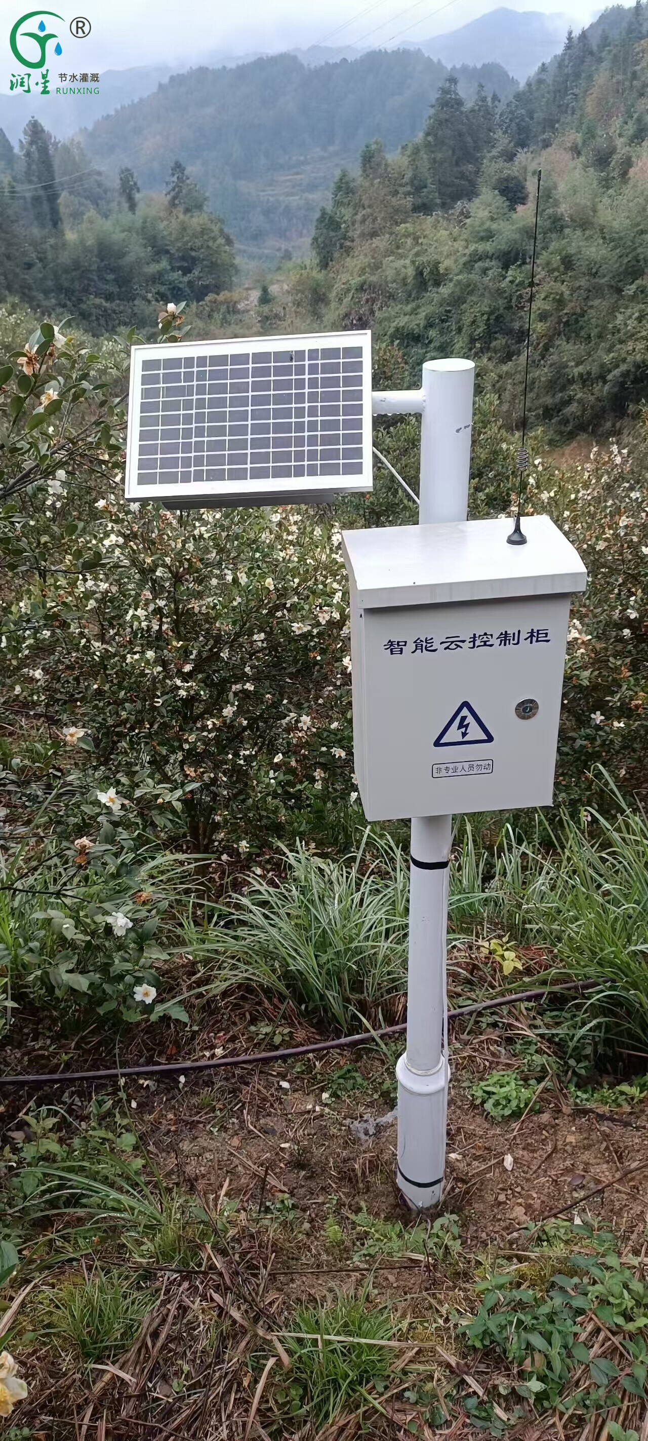 Lâmpada inseticida IoT