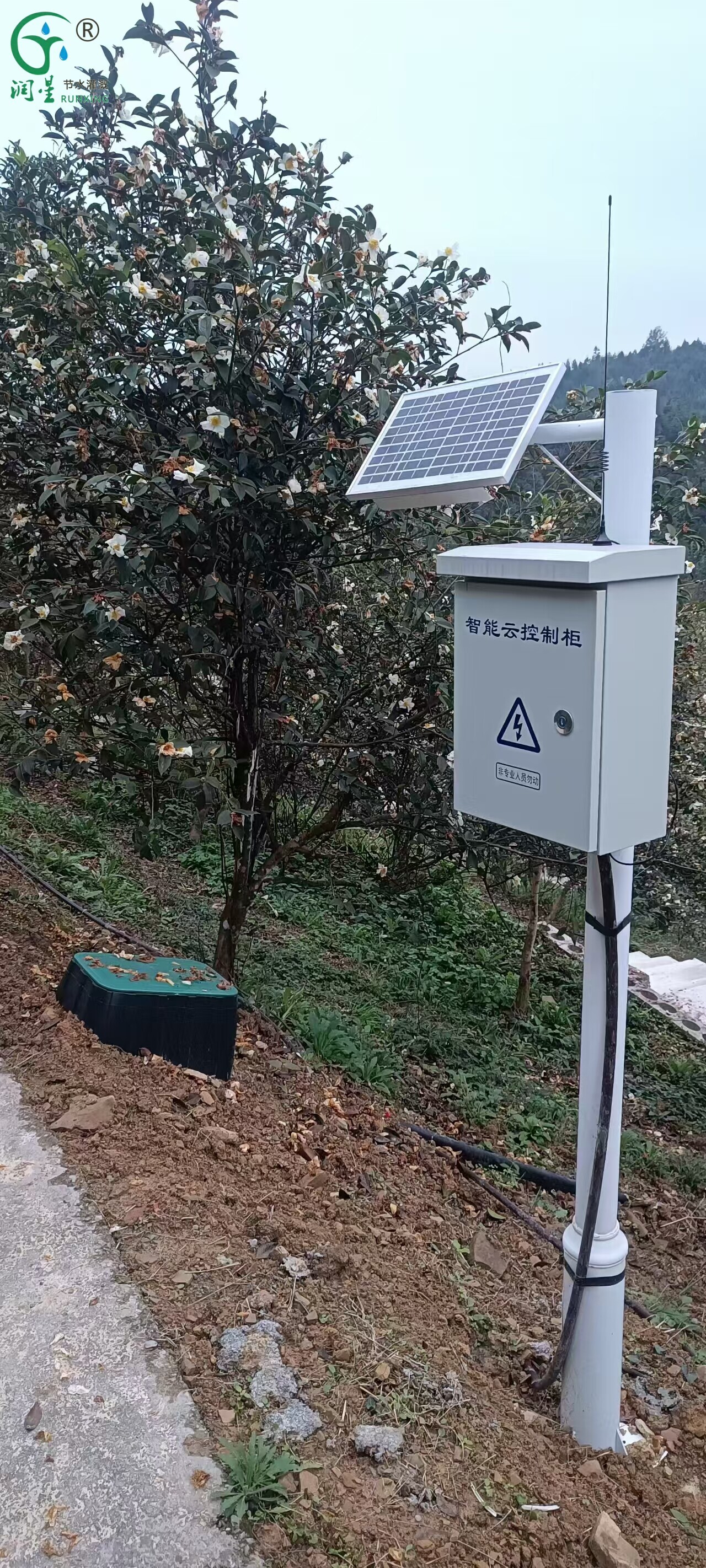 Lâmpada inseticida IoT