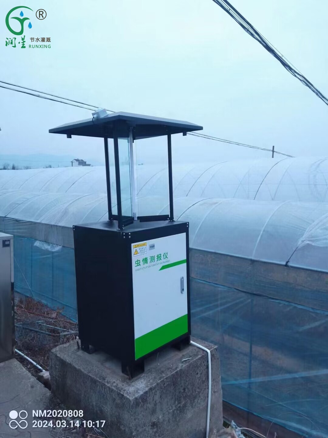 Instrumento de monitorização de pragas de insectos