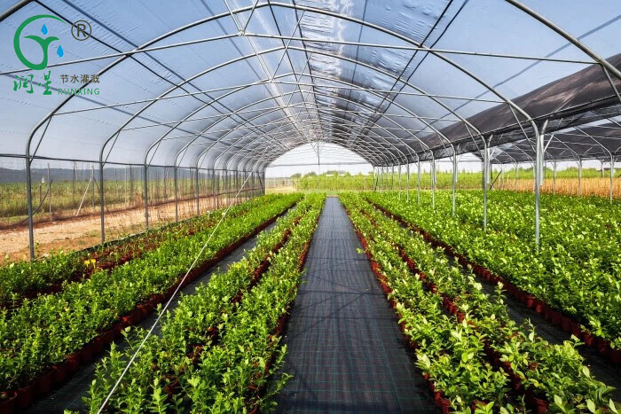 Vantagens da irrigação por gotejamento para vegetais de estufa Vantagens da irrigação por gotejamento para vegetais de estufa