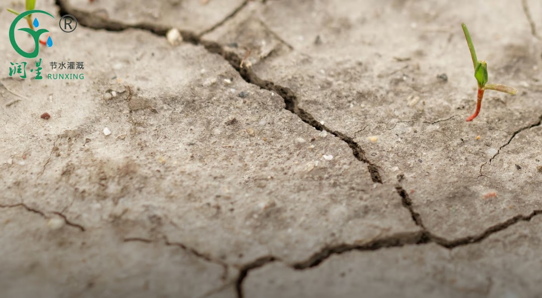 土壤干旱素材.png 土壤干旱素材.png