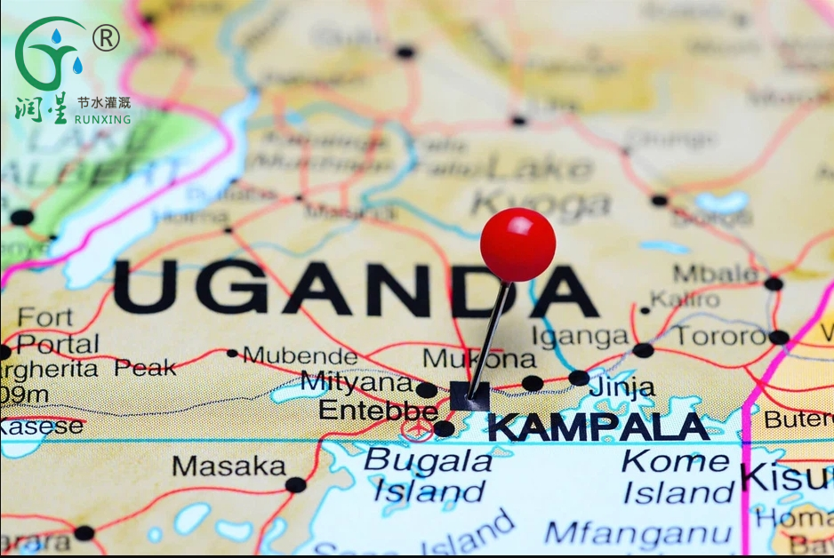 Análise do mercado de irrigação por gotejamento em Uganda Análise do mercado de irrigação por gotejamento em Uganda