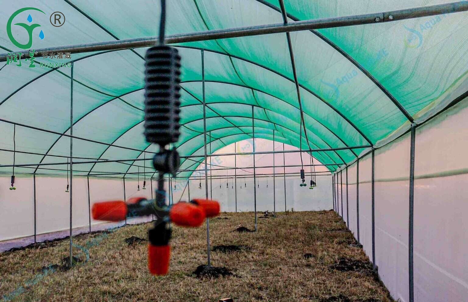 Sistemas de irrigação para agricultura em estufa na Argélia Sistemas de irrigação para agricultura em estufa na Argélia