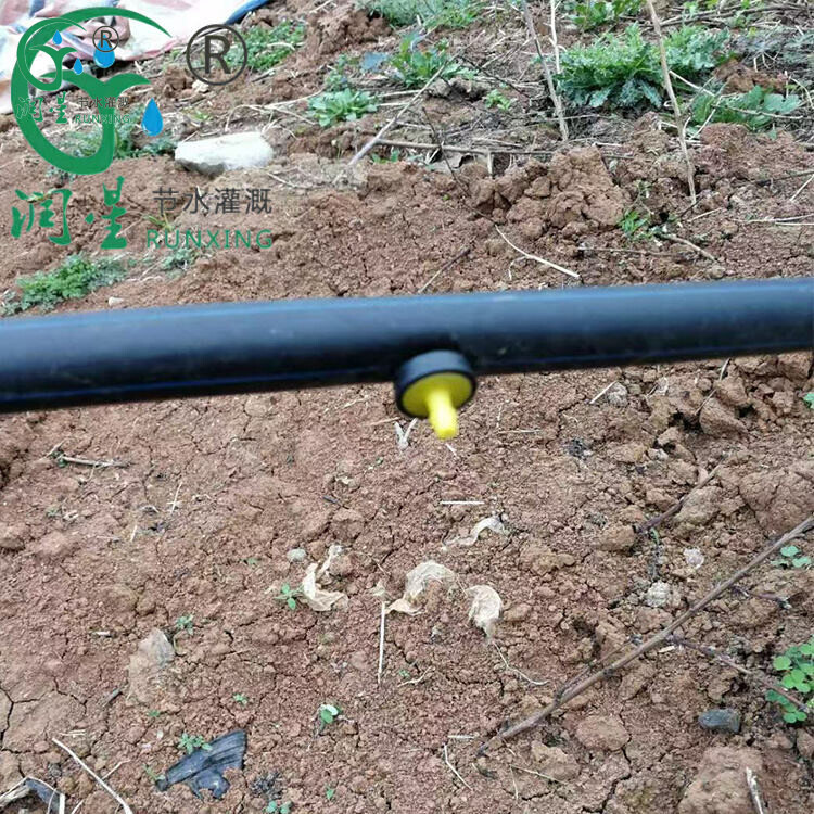 Tubo de rega gota-a-gota de compensação de pressão no subsolo