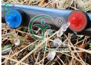 No tubo externo - conta-gotas antigotejamento e compensação de pressão