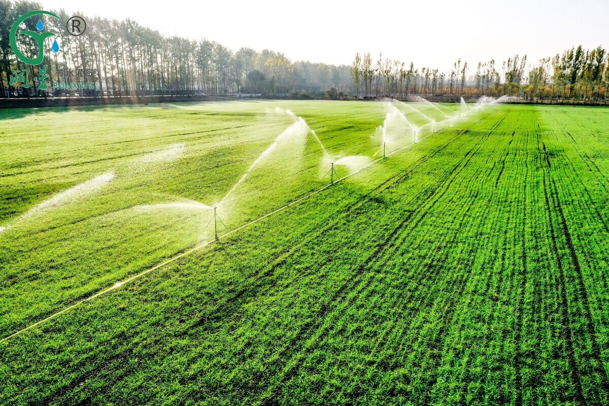 Sistemas de irrigação por gotejamento para o cultivo de trigo na Argentina: melhorando a produtividade e a qualidade Sistemas de irrigação por gotejamento para o cultivo de trigo na Argentina: melhorando a produtividade e a qualidade