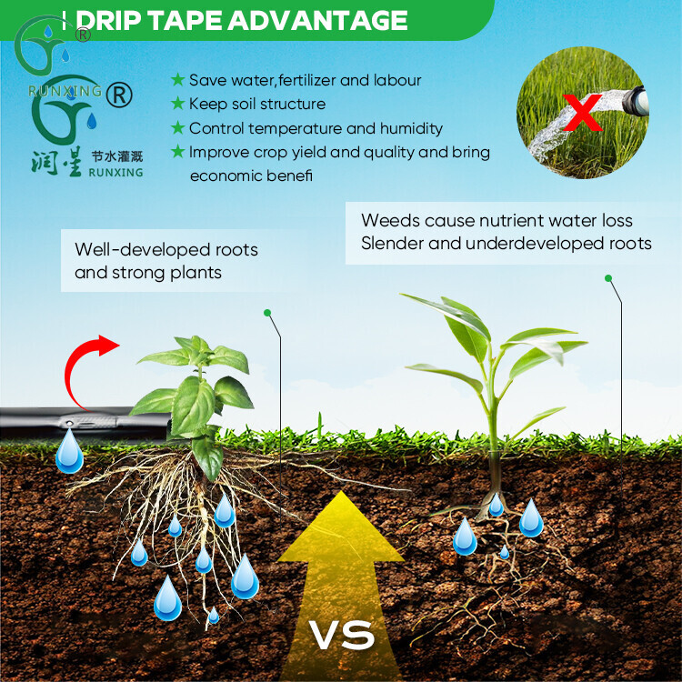 滴灌带详情1.jpg 滴灌带详情1.jpg