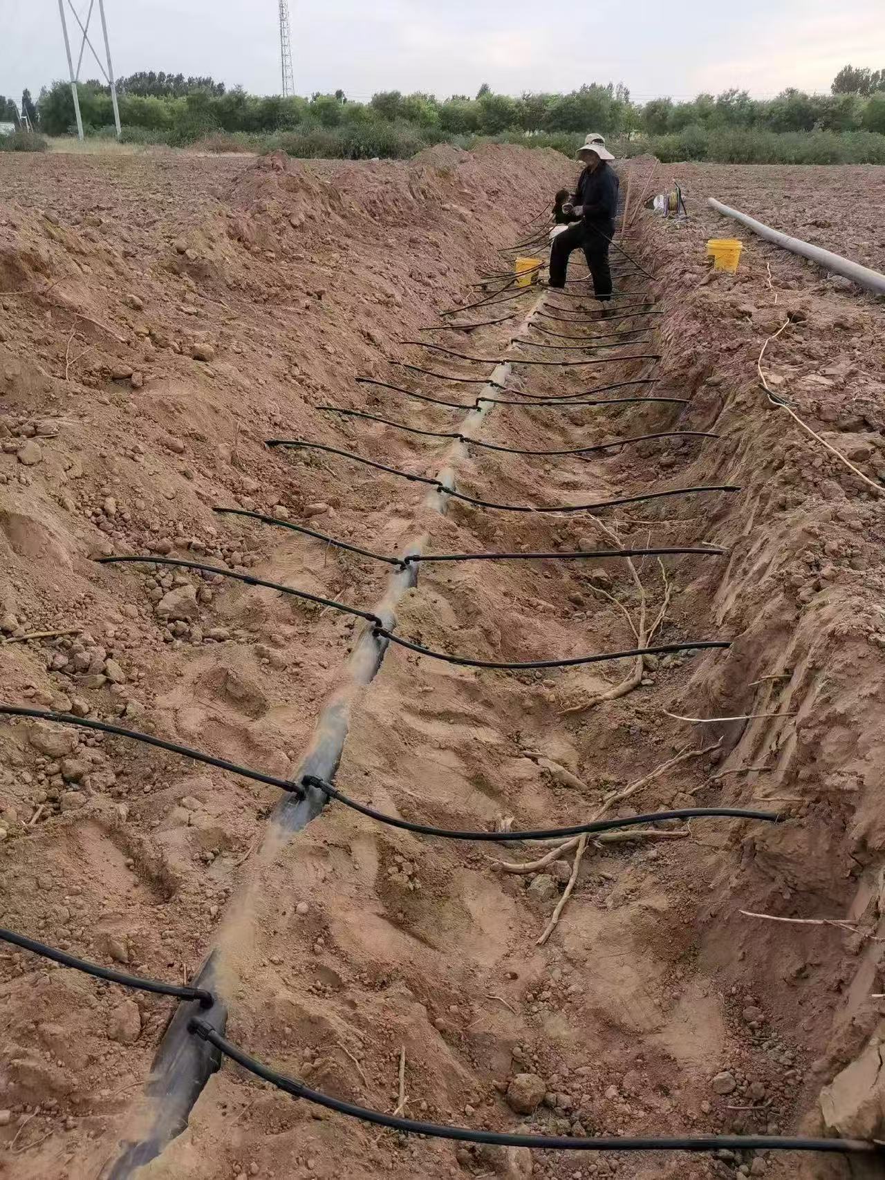 TerraCore™ Sistema de Gotejamento Subterrâneo de 10 Anos