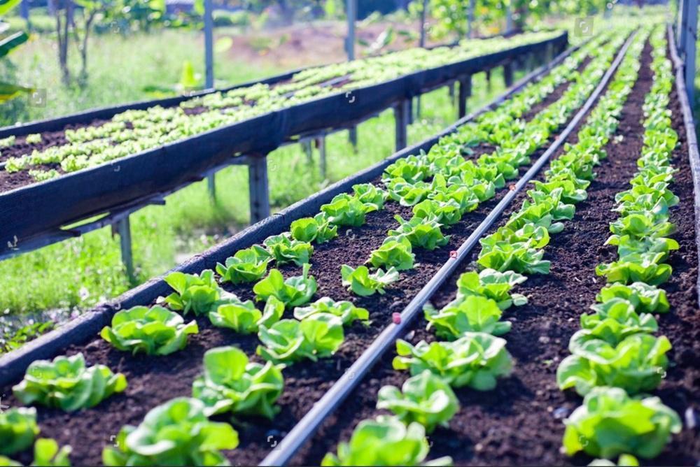 18b18dd68951cd27a31dc018e4c8f529.jpeg 18b18dd68951cd27a31dc018e4c8f529.jpeg