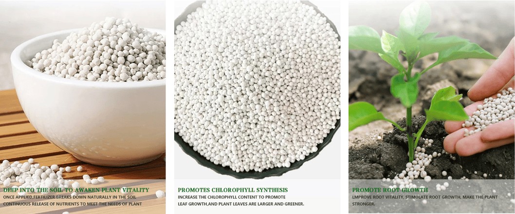 Soil-Revive-19-19-0-NPK-Compound-Fertilizer-Trace-Elements-Infused-Direct-Sale-Advantage.png Soil-Revive-19-19-0-NPK-Compound-Fertilizer-Trace-Elements-Infused-Direct-Sale-Advantage.png