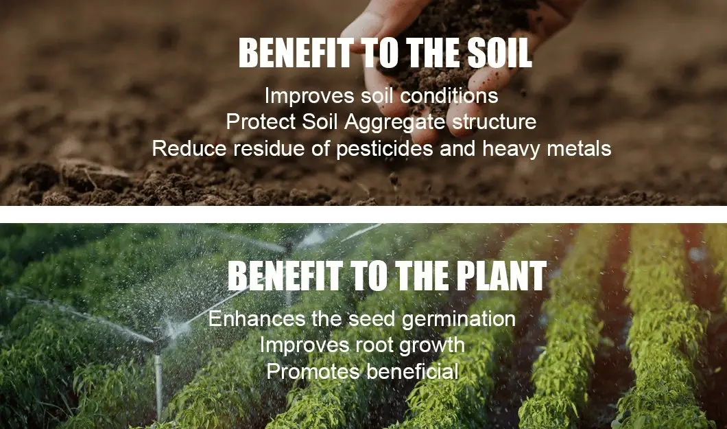 Chinese-64-DAP-Factory-Direct-Superior-Quality-for-Your-Soil.png
