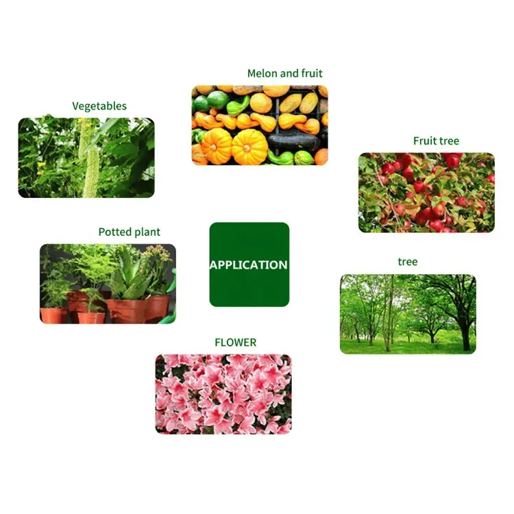Direct-Sale-Quality-DAP-18-46-0-at-Low-Prices-Suitable-for-Multiple-Farming-Types-.png