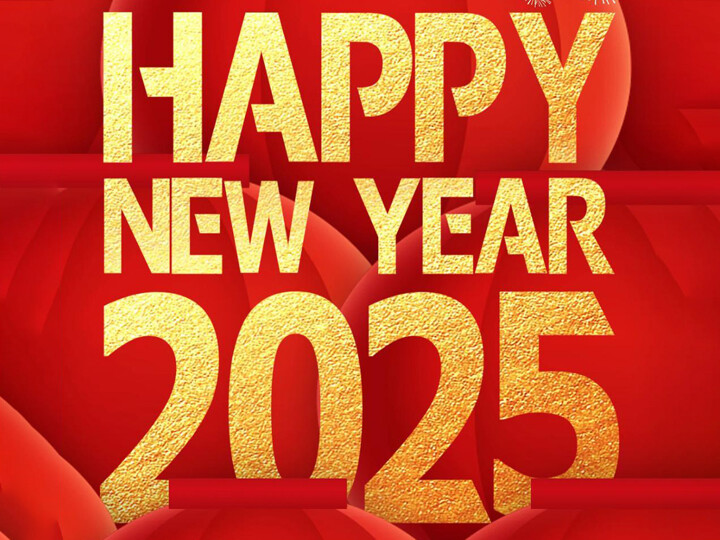 2025: Un nuevo capítulo para Pritty New Materials: la innovación impulsa el futuro, el trabajo duro genera gloria y el progreso continuo da forma a nuestros sueños