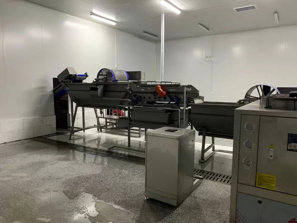 Cleaned vegetable washing