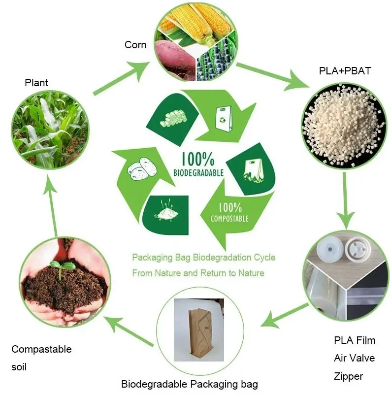 屏幕截图_7-3-2025_143843_www.oemypackaging.com.jpeg 屏幕截图_7-3-2025_143843_www.oemypackaging.com.jpeg