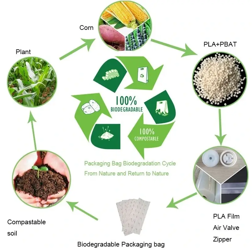 屏幕截图_14-3-2025_105657_www.oemypackaging.com.jpeg 屏幕截图_14-3-2025_105657_www.oemypackaging.com.jpeg