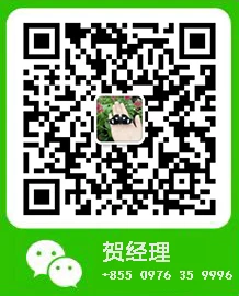 贺经理.png