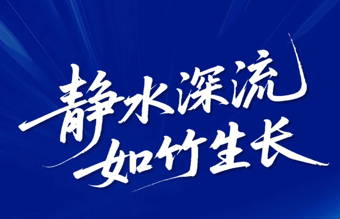 静水深流，如竹生长：金恒丰用时间验证「稳定秘诀」