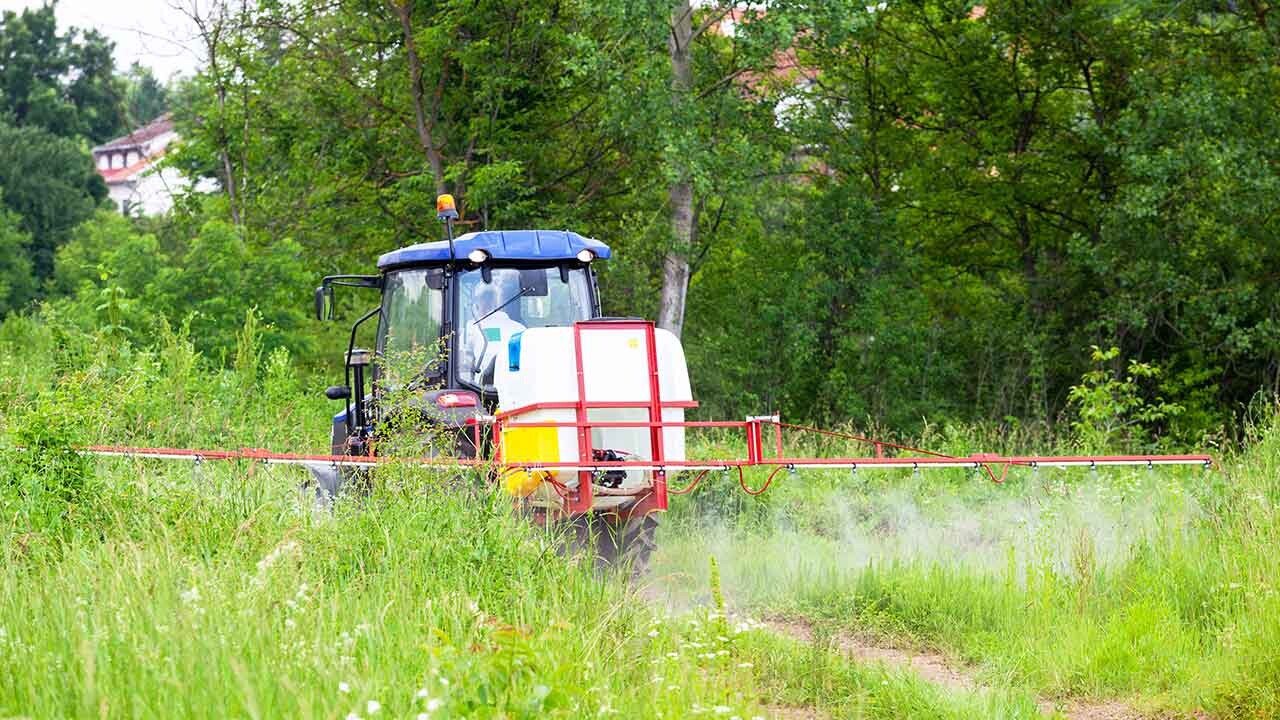 Правильный выбор техники для защиты растений