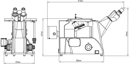 image.png 1770520188878959135927386112.png