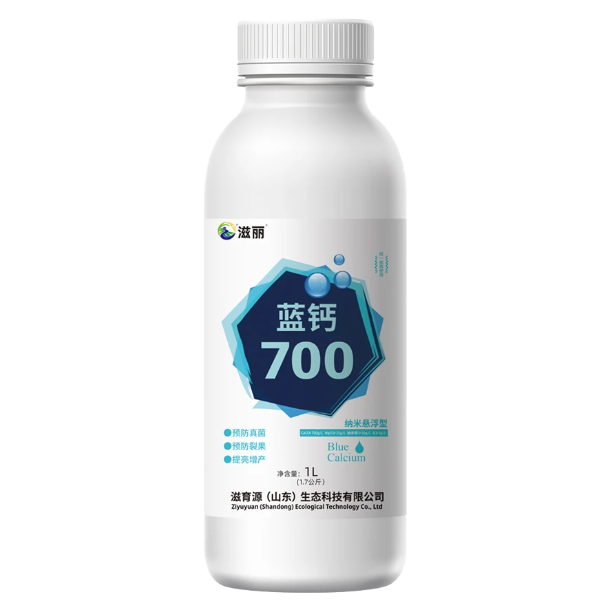 透明.png