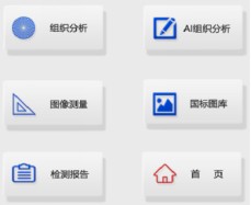 image.png 1770517537878948017951555584.png