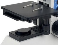 1770529900878999870110261248.png 1770529900878999870110261248.png