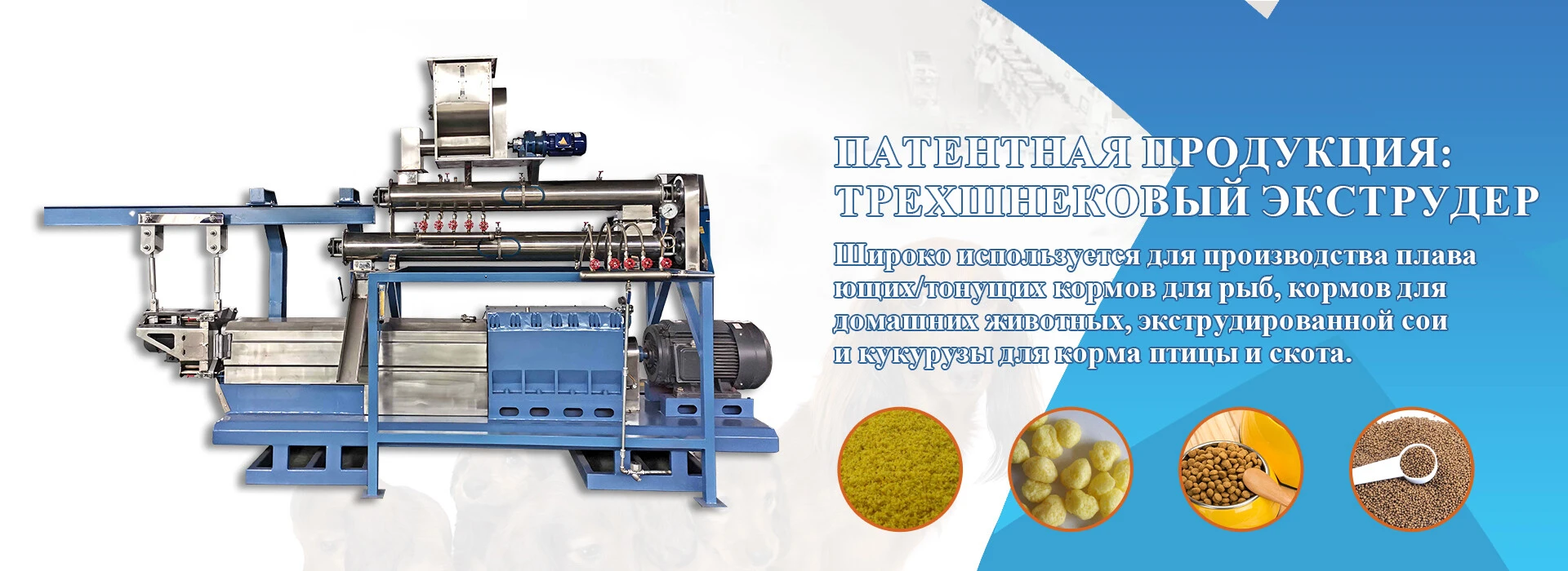 金昌泰banner.jpg