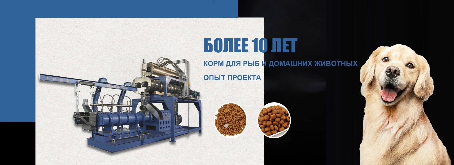 1920x700.jpg