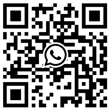 8615031800811