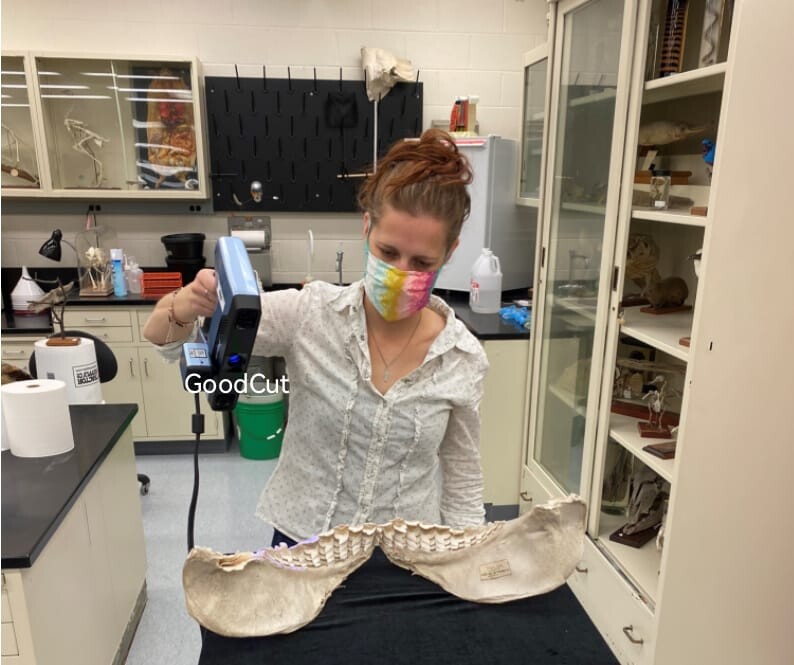 Escáner 3d GoodCut Handheld Einscan Pro 2x 2020