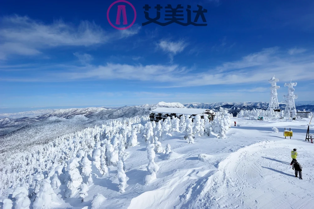 二范文芳未覆盖