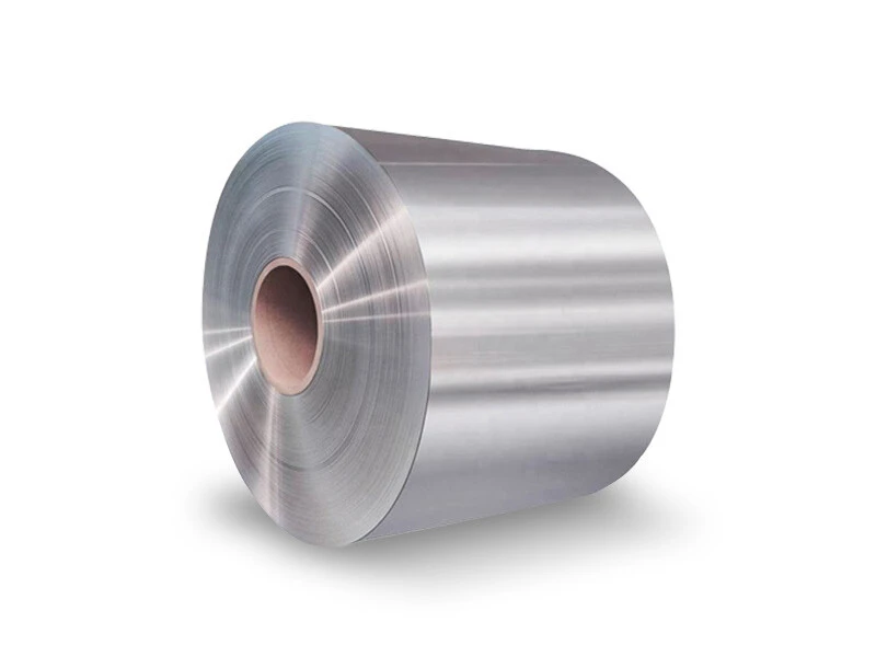 Hastelloy C-22 Coil