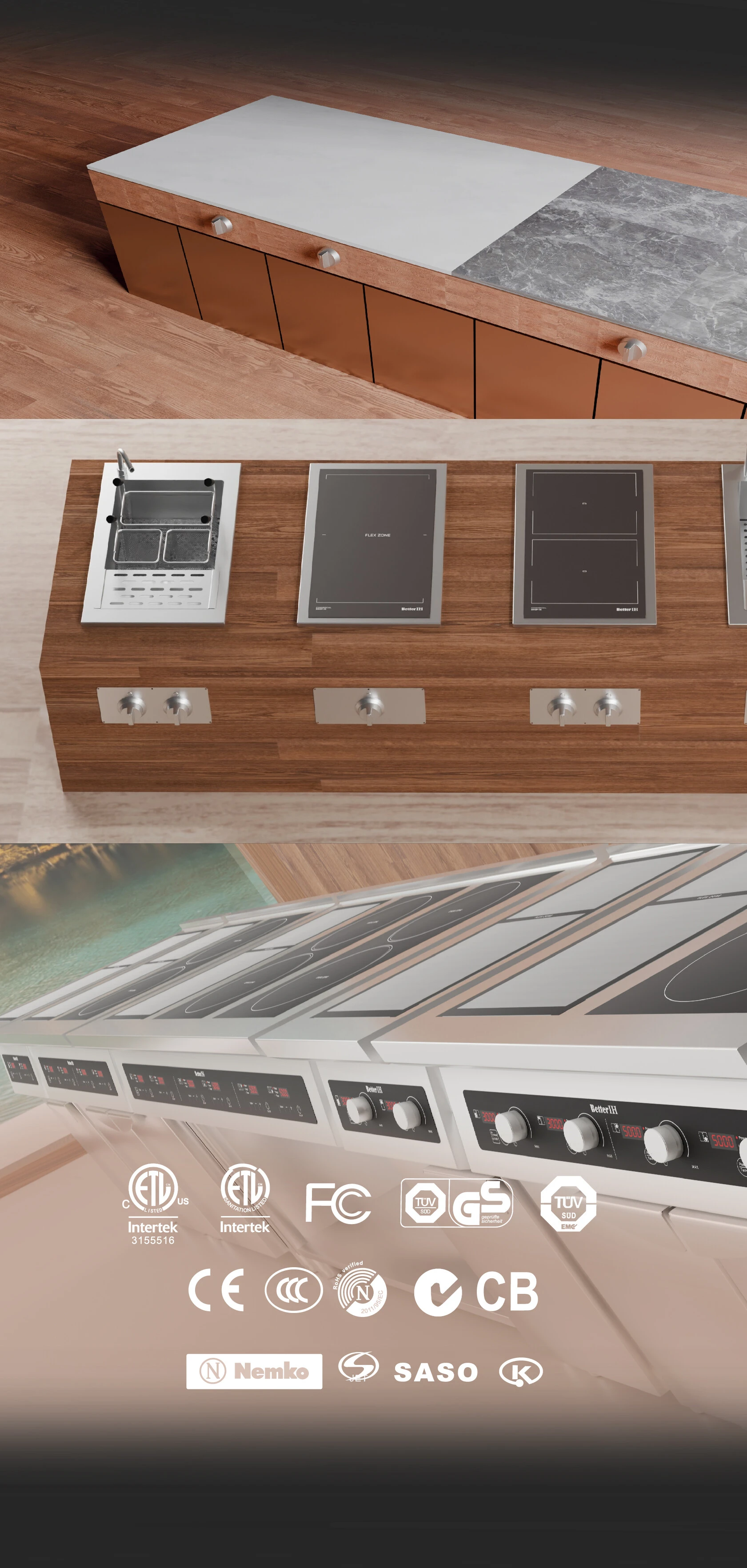 Double Hob Induction Cooker