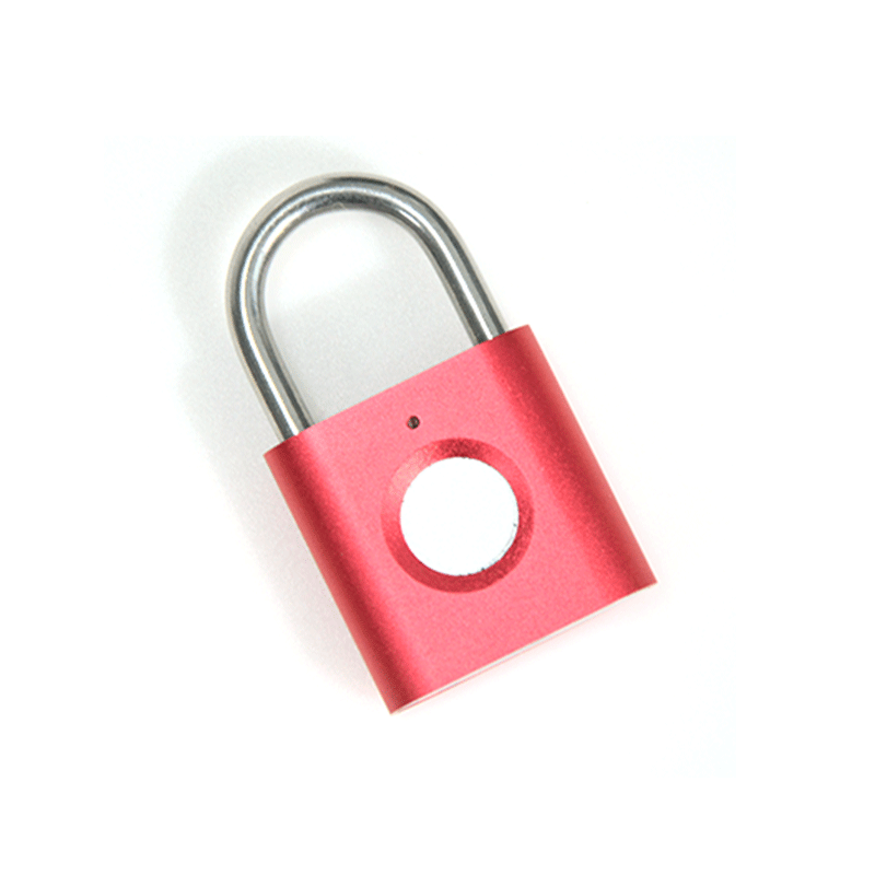 Intelligent Small Padlock Finished Product