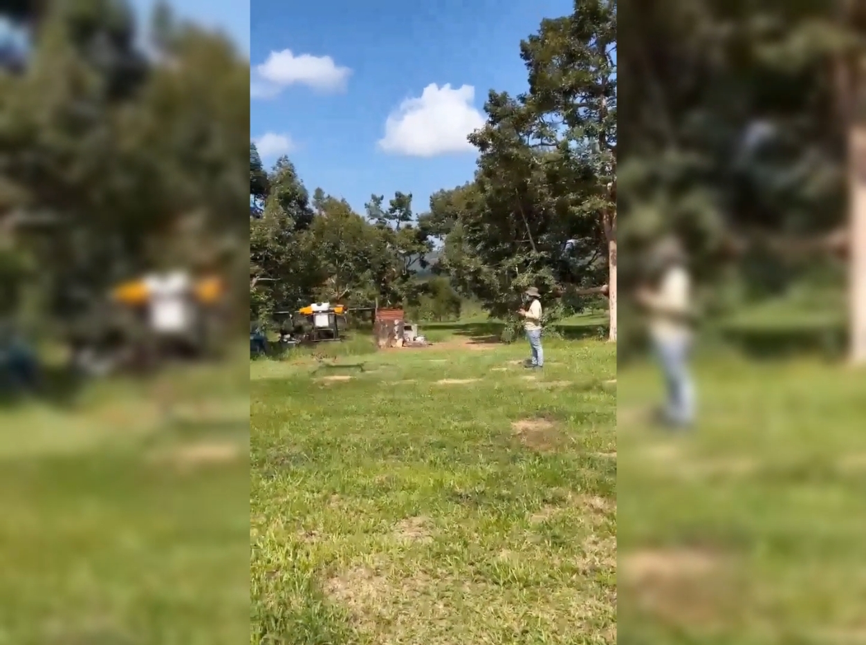 Видеоролик о том, как дрон для защиты растений распыляет пестициды на деревья дуриана